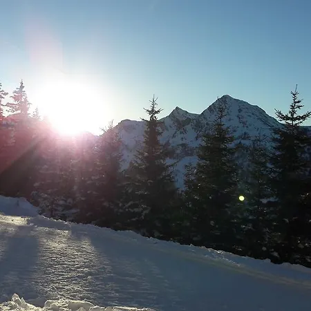 Haus Tauernseitn シュラートミンク