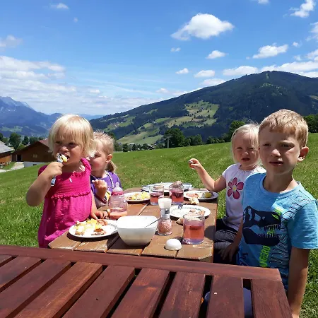 Apartamento Haus Tauernseitn